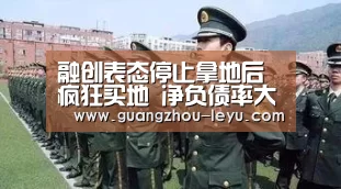 融创表态停止拿地后疯狂买地 净负债率大增_leyu(图2) 融创表态停止拿地后疯狂买地 净负债率大增_leyu(图2)